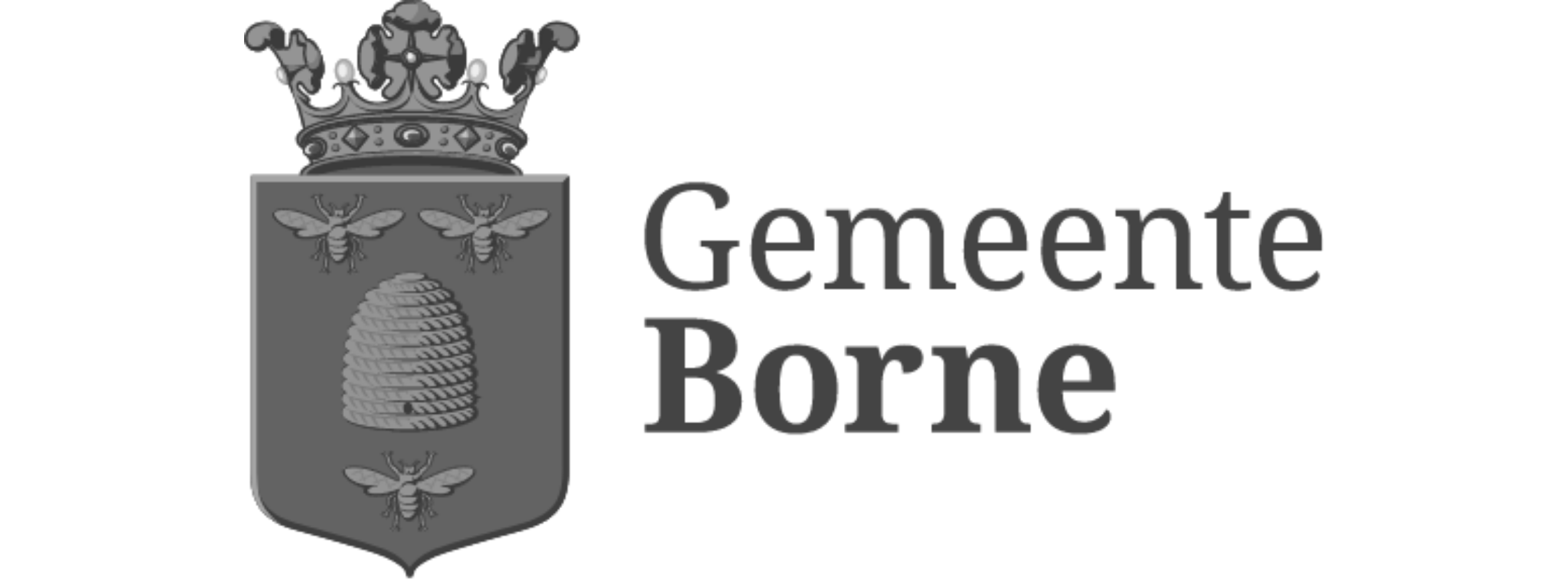 [Logo Gemeente Born]