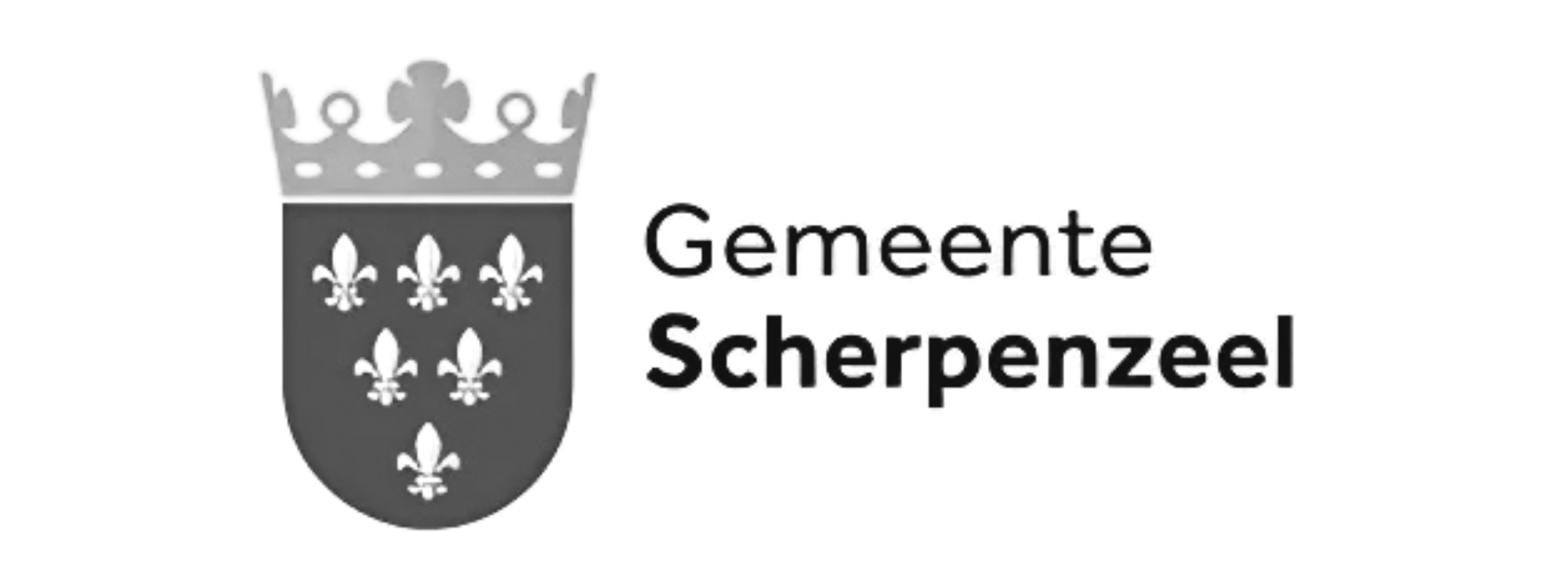 [Logo Gemeente Scherpenzeel]